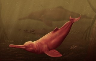 Extinct Species of Giant Dolphin